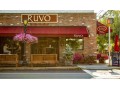 ruvo-of-greenlawn-ny-small-0